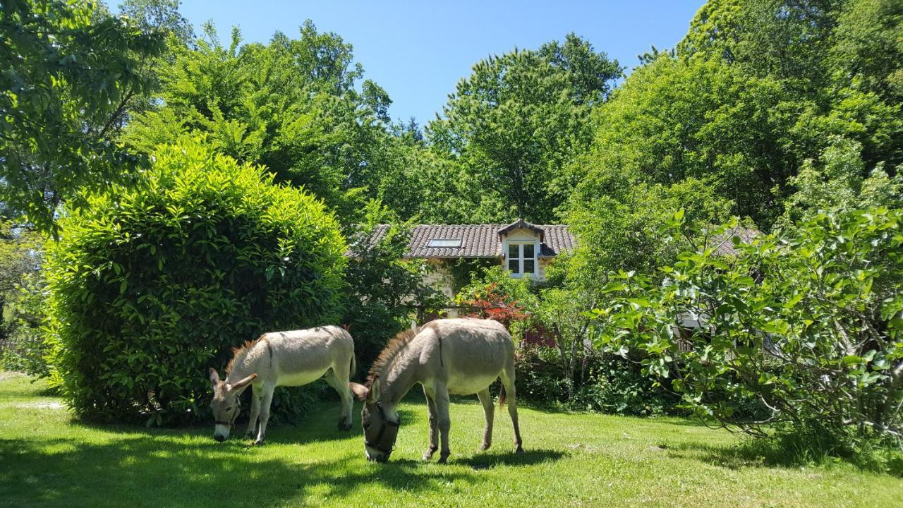 Le Moulin De Pensol - Gites エクステリア 写真