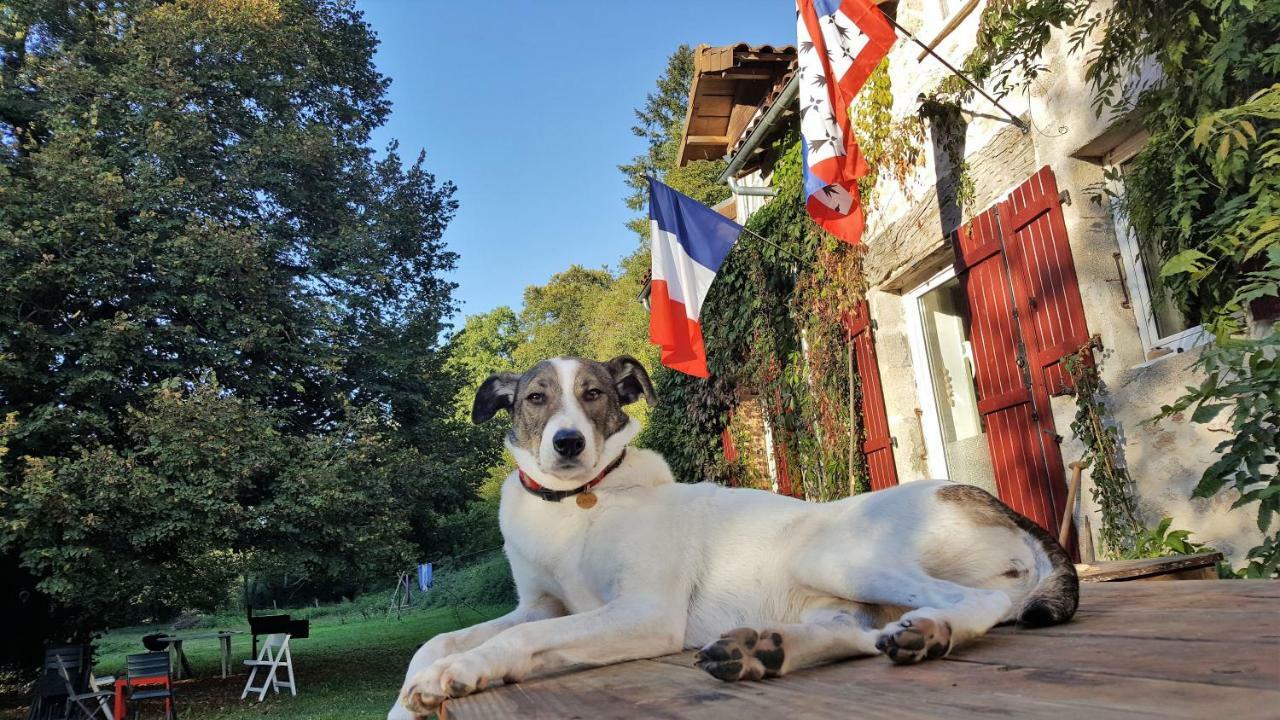 Le Moulin De Pensol - Gites エクステリア 写真